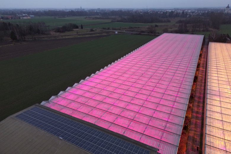 Gospodarstwo ogrodnicze – Koczergi woj. Lubelskie