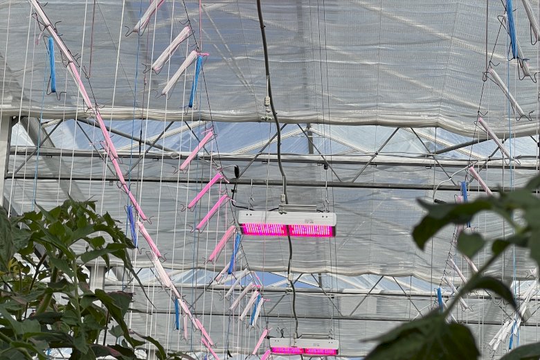 Gospodarstwo rolno-ogrodnicze – Szosa Turecka woj. Kaliskie