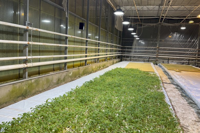 Gospodarstwo Rolno Ogrodnicze – Topór woj. Mazowieckie