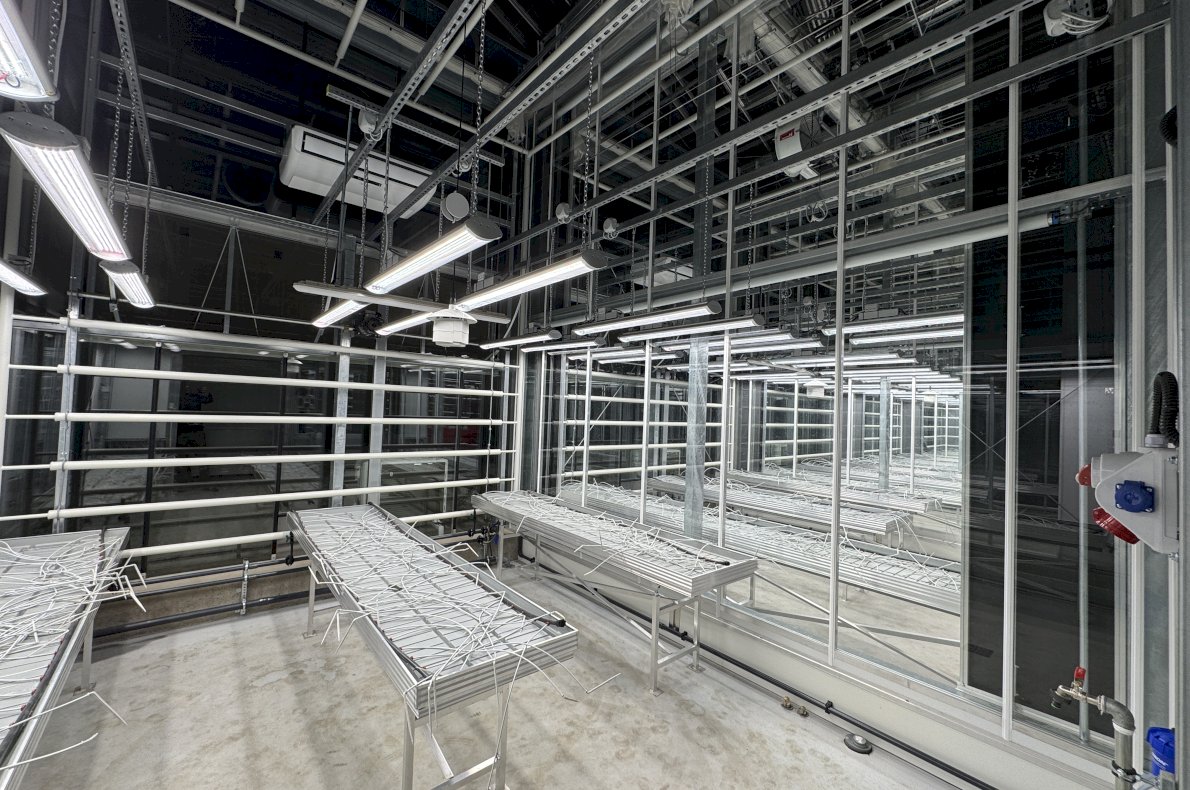 Instytut Hodowli i Aklimatyzacji Roślin w Boninie #4