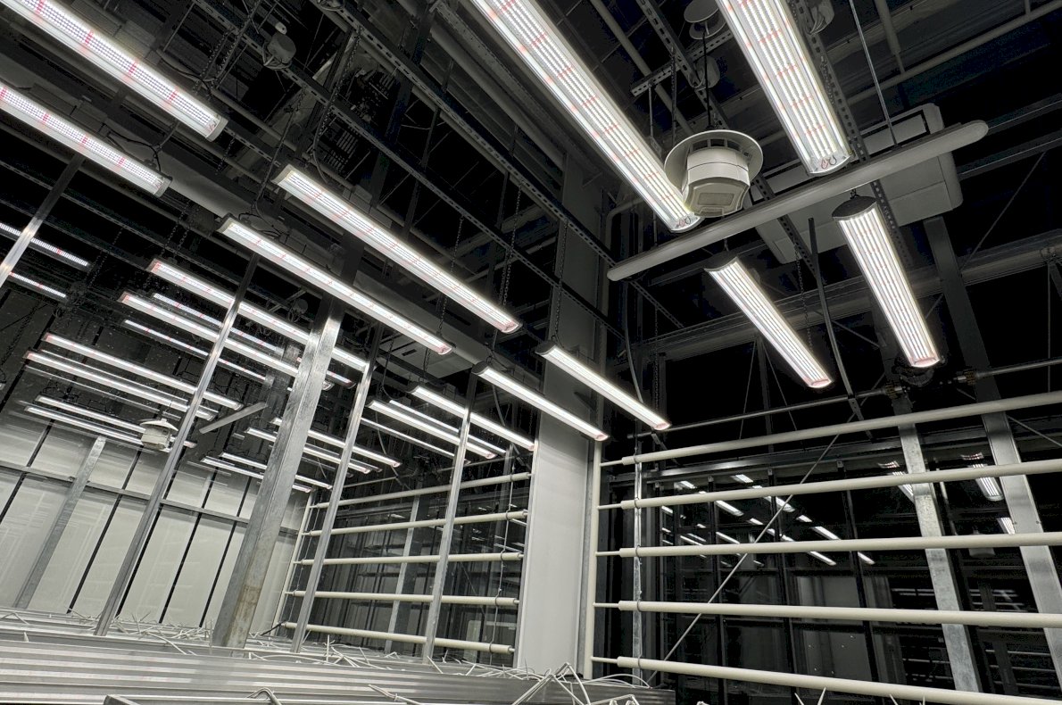 Instytut Hodowli i Aklimatyzacji Roślin w Boninie #7