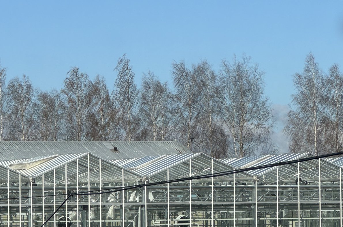 Instytut Hodowli i Aklimatyzacji Roślin w Boninie #8