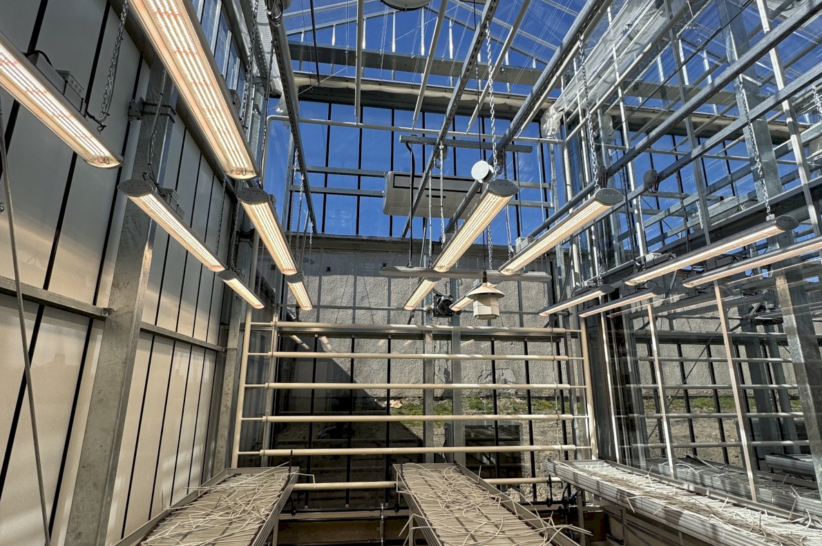 Instytut Hodowli i Aklimatyzacji Roślin w Boninie #9