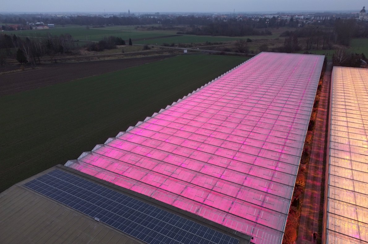 Gospodarstwo ogrodnicze – Koczergi woj. Lubelskie #1