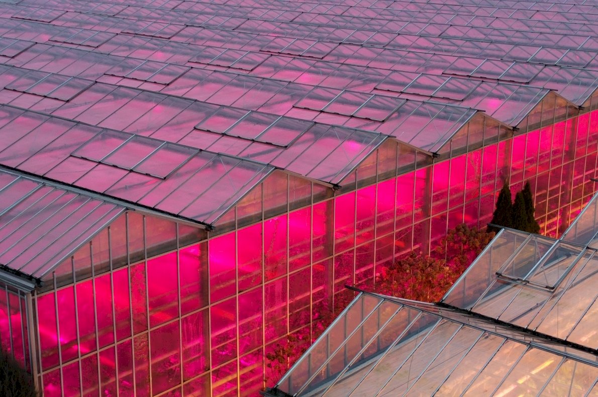 Gospodarstwo ogrodnicze – Koczergi woj. Lubelskie #2