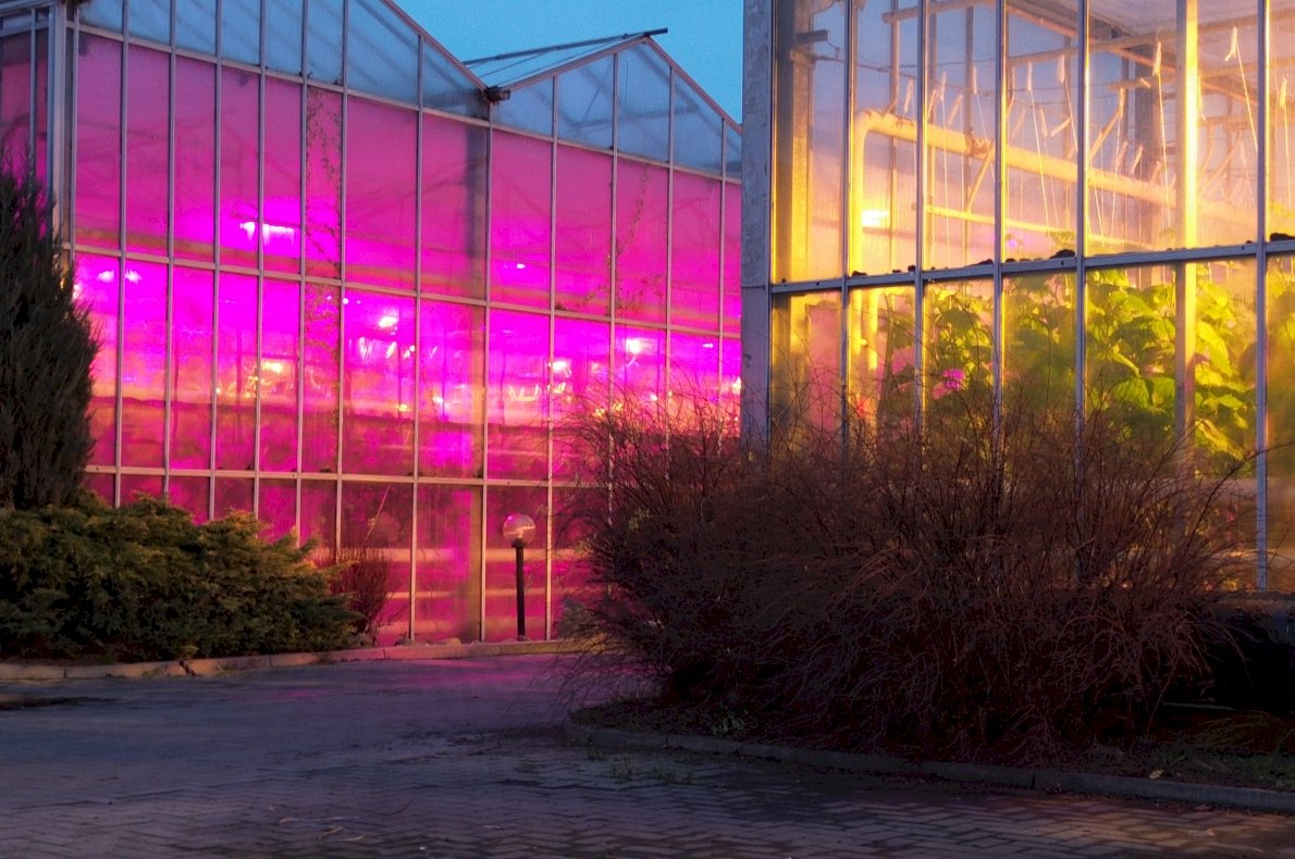 Gospodarstwo ogrodnicze – Koczergi woj. Lubelskie #3