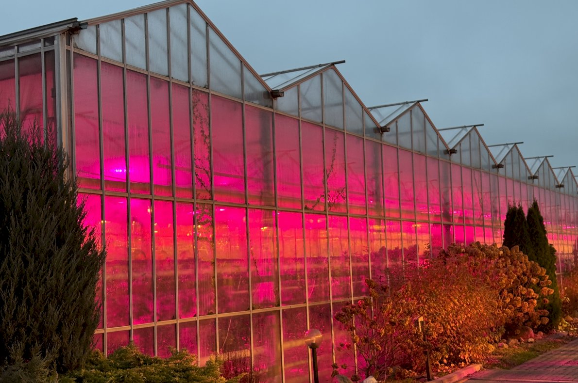 Gospodarstwo ogrodnicze – Koczergi woj. Lubelskie #4