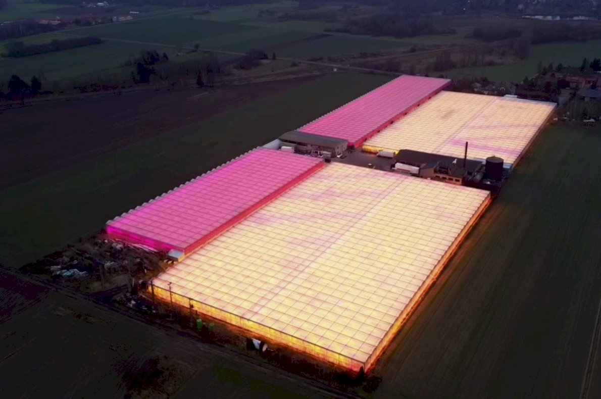 Gospodarstwo ogrodnicze – Koczergi woj. Lubelskie #5