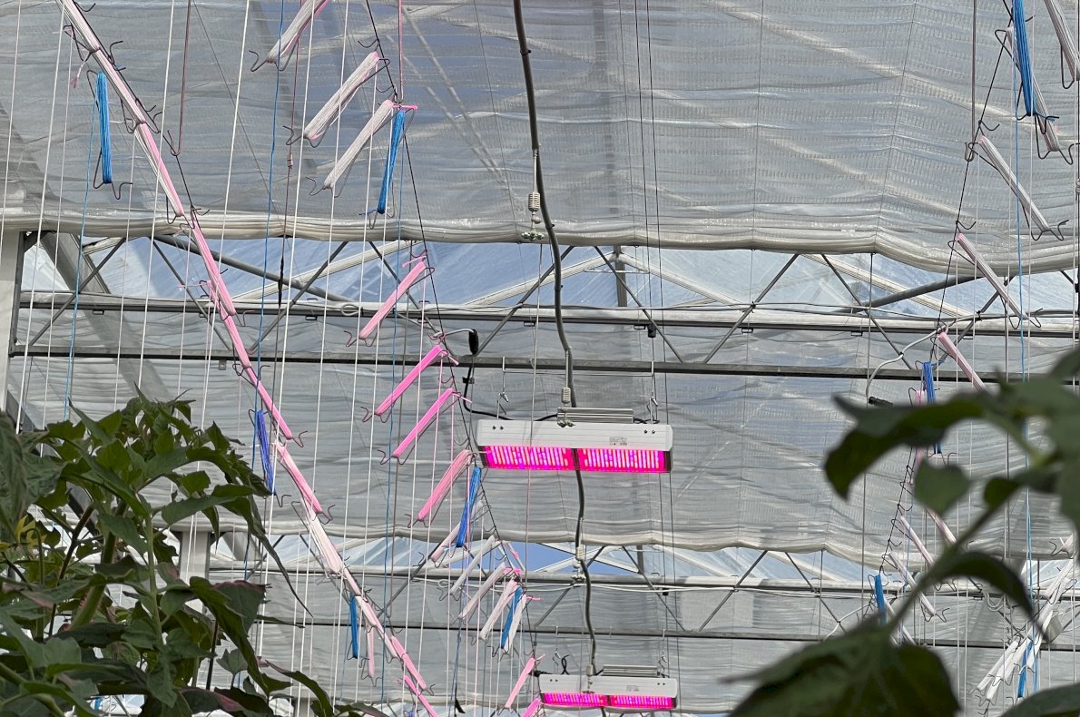 Gospodarstwo rolno-ogrodnicze – Szosa Turecka woj. Kaliskie #1