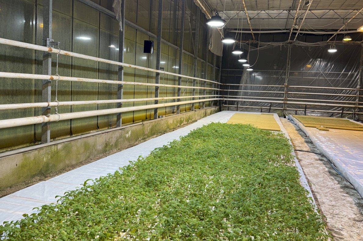 Gospodarstwo Rolno Ogrodnicze – Topór woj. Mazowieckie #1