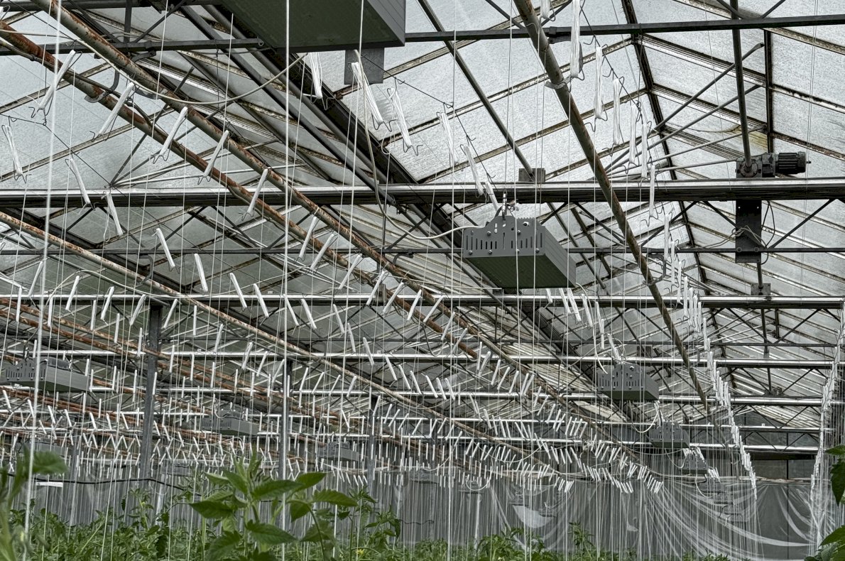 Gospodarstwo Rolno Ogrodnicze – Topór woj. Mazowieckie #2