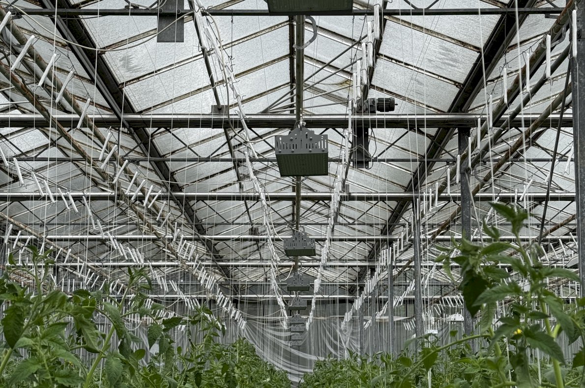 Gospodarstwo Rolno Ogrodnicze – Topór woj. Mazowieckie #3