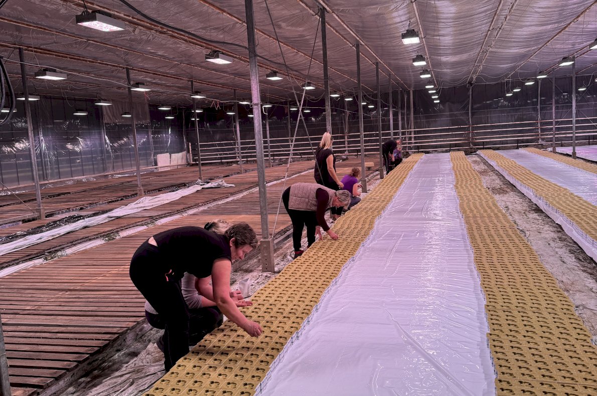 Gospodarstwo Rolno Ogrodnicze – Topór woj. Mazowieckie #4