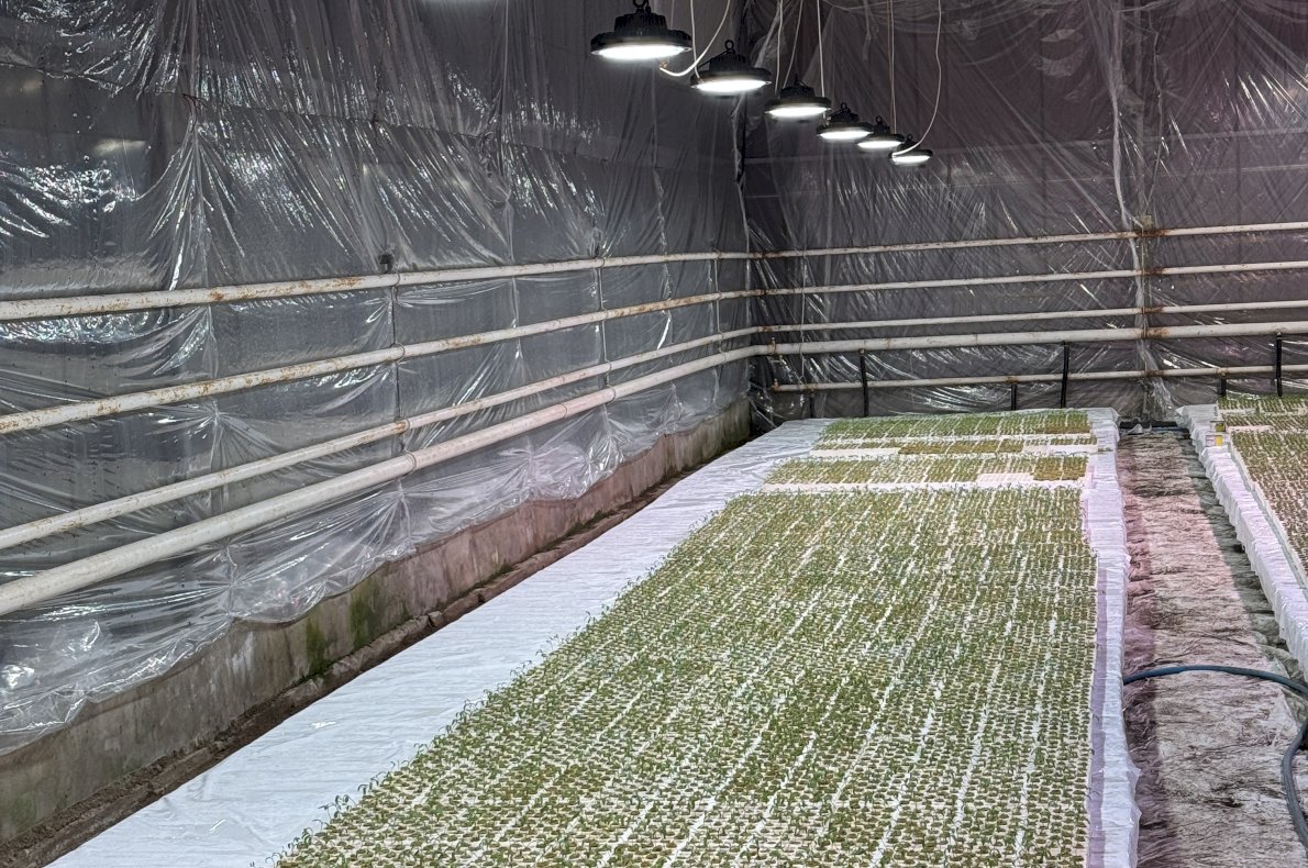 Gospodarstwo Rolno Ogrodnicze – Topór woj. Mazowieckie #5