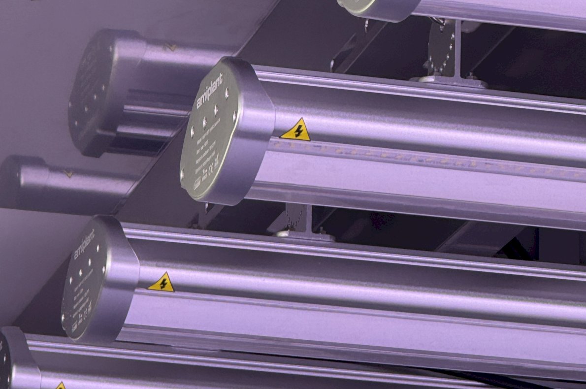 Instytut Hodowli i Aklimatyzacji Roślin w Radzikowie #3