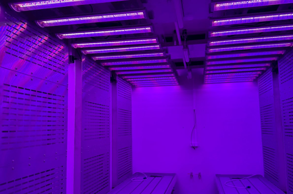 Instytut Hodowli i Aklimatyzacji Roślin w Radzikowie #4