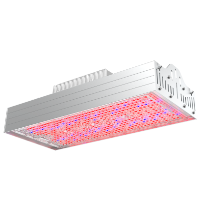 AMP-860-BR