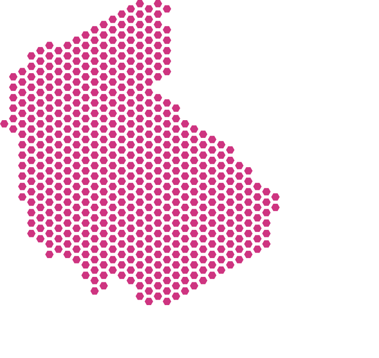 mapa Polski dla Amiplant Zachód