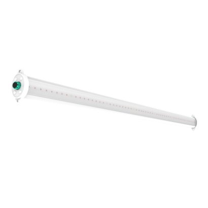 AMP<br>INTERLIGHT-2/3 #4